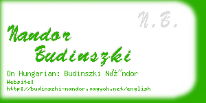 nandor budinszki business card
